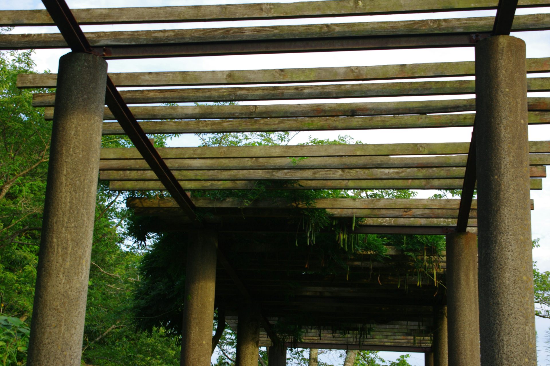 A view of a wooden structure with trees in the background